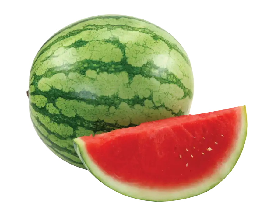 MINI MELON D’EAU BIOLOGIQUE
